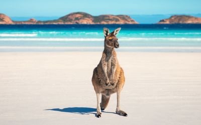 It’s official: Australia is home to the best beach in the world