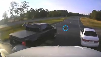 See Calamitous Crash On Florida Highway Caused By Turtle Crossing Road
