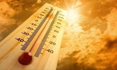 Temperature likely to increase by 3-4 degrees in Bihar: IMD