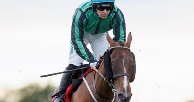 €850 horse Hewick bags another big cheque for brave run in French Champion Hurdle