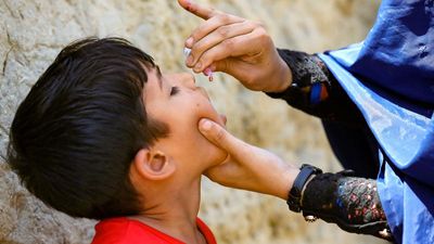 Global polio targets set for this year unlikely to be met