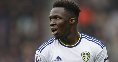 Ex-England man makes comparison with Leeds United favourite Wilfried Gnonto