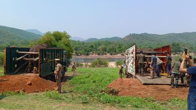 Tuskers captured in Tirupattur town released at Sanamavu Reserve Forest in Hosur