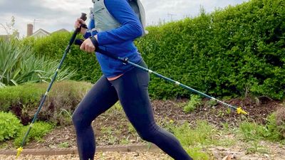 Harrier Catbells Aluminium Z-Poles review: hefty but sturdy, and great value