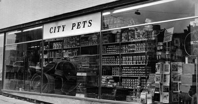 Pet shop where an ape lived inside is now a JD Wetherspoon
