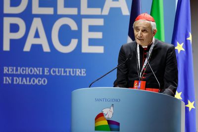 Pope asks Italian cardinal to carry out Ukraine peace mission