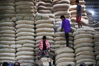 Exports of rice surge to 2.8m tonnes
