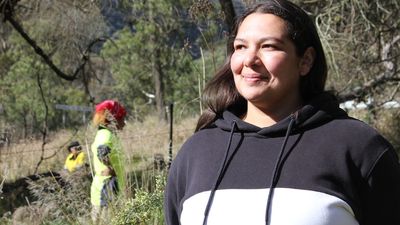Wiradjuri and Walgalu women protect endangered Tumut grevillea plant as part of Buugang Wambal project
