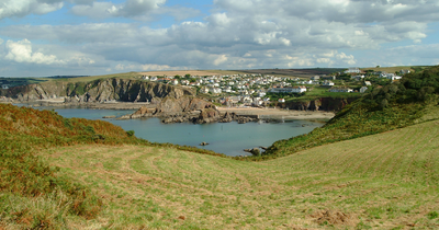 Teenager dies after falling from Westcountry cliff