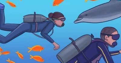 Only true brain whizzes can spot four mistakes in busy scuba diving scene