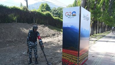 Srinagar decked up for G-20 working group meeting; security heightened