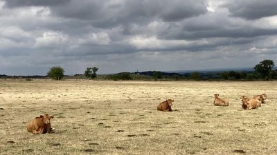 France prepares to endure hottest and driest summer