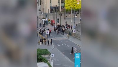 Two arrested after group of youths block and kick cars in Wembley