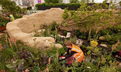 Chelsea flower show garden built with asylum seekers brings ‘message of hope’