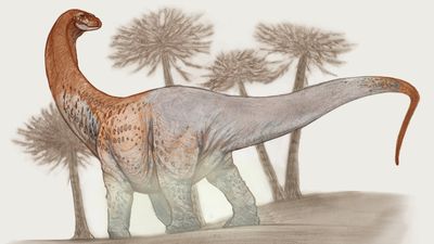 Humongous, 100-foot-long dinosaur from Argentina is so big its fossils broke the road during transport