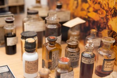 From exquisite beauty to lingering horror: the secret world of Australia’s herbarium