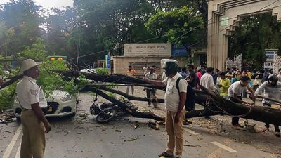 Rain expected to continue in Bengaluru for next five days