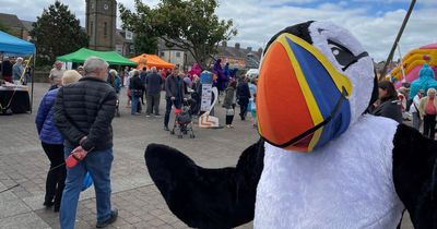 Amble Puffin Festival returns to the Northumberland Coast for tenth year