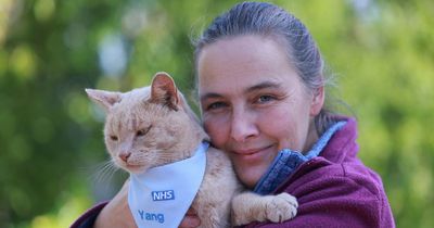 Hexham Hospital cat awarded 'freedom to roam' by town council