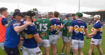 Ugly scenes as tempers flare at end of Tipperary's draw against Limerick