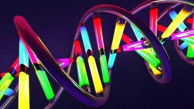 In a Shocking Discovery, Scientists Accidentally Capture Human DNA from the Air