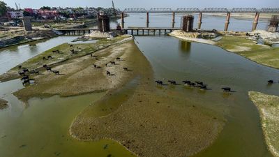 Centre to geo-tag drains along Ganges to prevent discharge of solid waste into river