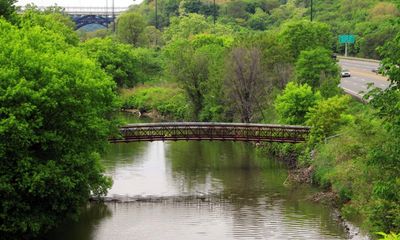 How Toronto’s Don River, once declared dead, is roaring back to life