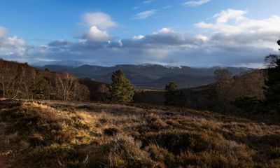 Wealthy firms buying Scottish land pose risk of greater inequality, study warns