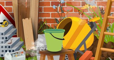 Only players with a high IQ can find all seven hidden items in 60 seconds