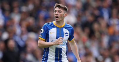 Billy Gilmour and Brighton create history as they qualify for Europe for the first time