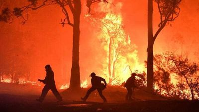 NSW coronial inquiry hears back-burning strategy was 'appropriate' response to Currowan fire