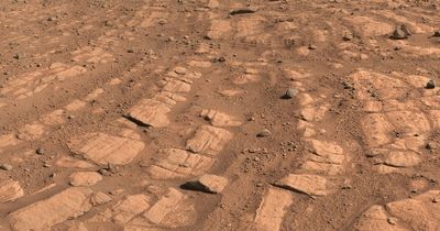 NASA finds evidence 'very deep, very fast' river flowed on Mars