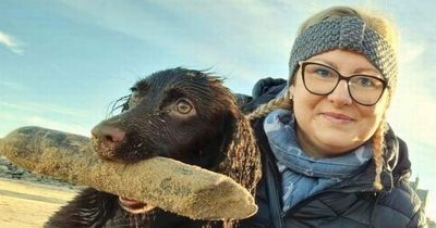 Scots dog owner devastated after snake bite kills puppy during walk