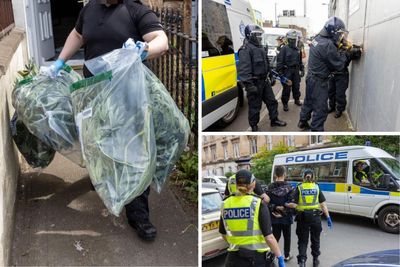 In Pictures: Inside Police Scotland's £1.2 million cannabis drug raid