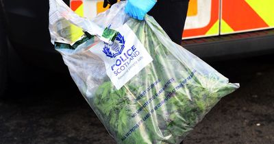 Five Glasgow neighbourhoods hit as police carry out £1million cannabis raid across Scotland