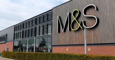 Marks and Spencer shoppers 'delighted' with £56 summer garden chairs that are 'so comfortable'