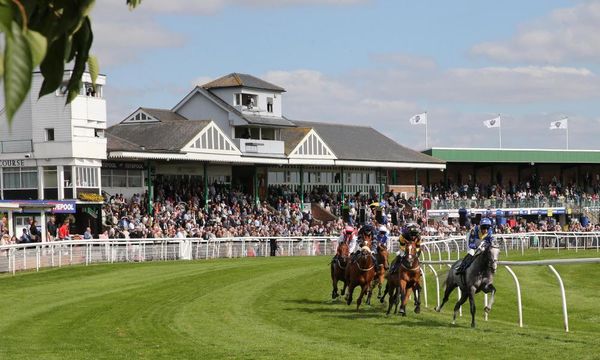 Talking Horses: Tuesday’s best bets plus the latest racing news