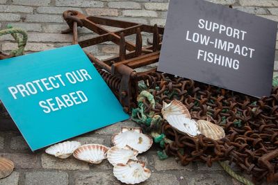 Legal challenge over scallop-dredging in Scottish waters gets under way