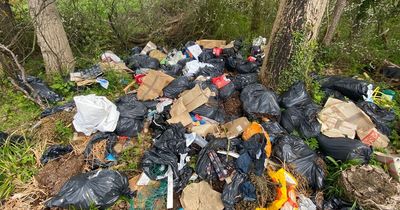 Fury as 'disgusting' flytipping returns after Google Maps shame