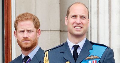 Unlikely Royal Family member who might be able to reunite Prince Harry and William