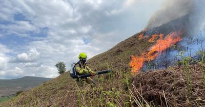 Firefighters deal with a number of deliberate fires in space of just a few days in Wales