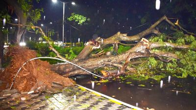 Two killed by lightning, one electrocuted during Sunday’s rains in Mysuru