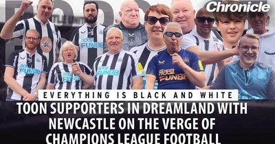 Newcastle United fans in dreamland as the club looks to secure Champion League football