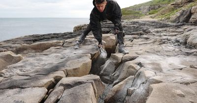 Incredible earth mural of Triceratops appears at Jurassic Coast quarry