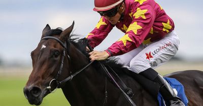 Blow for punters as favourite Al Riffa ruled out of Irish 2,000 Guineas at the Curragh