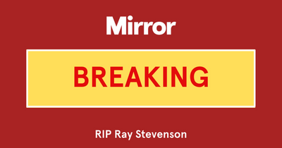 Ray Stevenson dies: King Arthur and Thor actor passes away days before 59th birthday