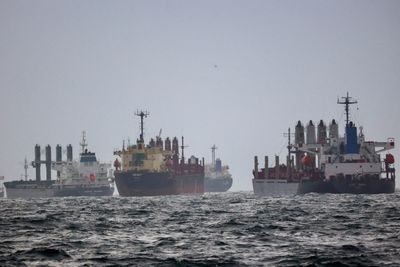 UN concerned by lack of grain ships going to one Ukrainian port
