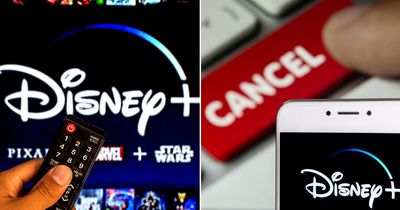 Disney+ subscribers 'boycott' streamer as string of popular shows disappear from service
