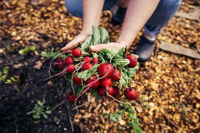 Farmers' profits still not growing