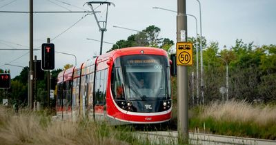 ACT calls for 'streamlined' approval system to speed up light rail